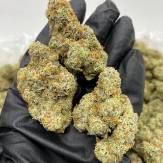 lemon fizz strain